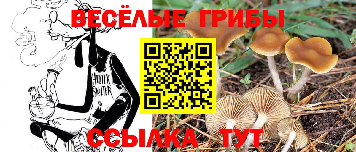 Галлюциногенные грибы Magic Shrooms  Вход с VPN  цена   Псилоцибиновые грибы Cubensis  Орёл 