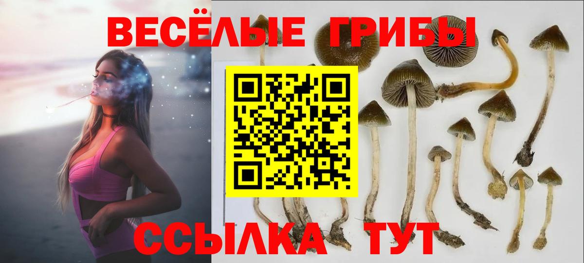 Меф МЯУ МЯУ   ГАШ  Орёл  Кокаин  Вход с VPN  Бошки Шишки 